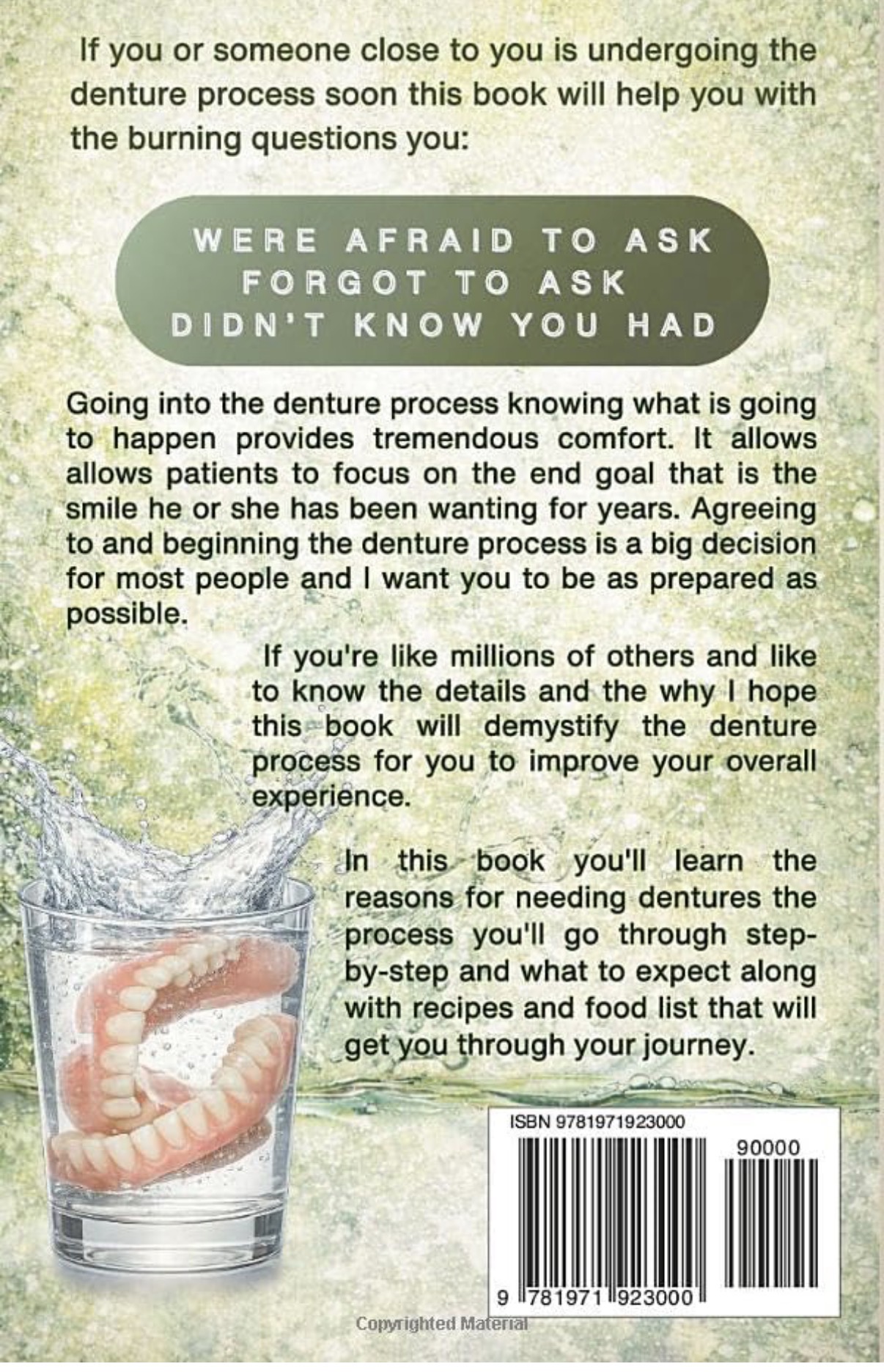 Back cover with a description of the book